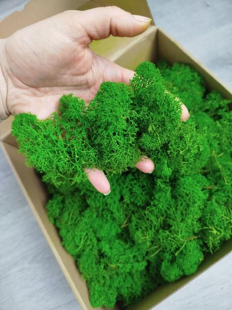 Stabilizovaný mach / lišajník 500g, 