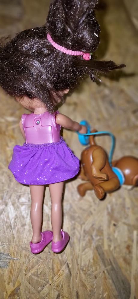 Babika so šteniatkom, 