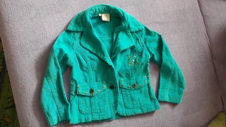 Sako mencestrove, 110