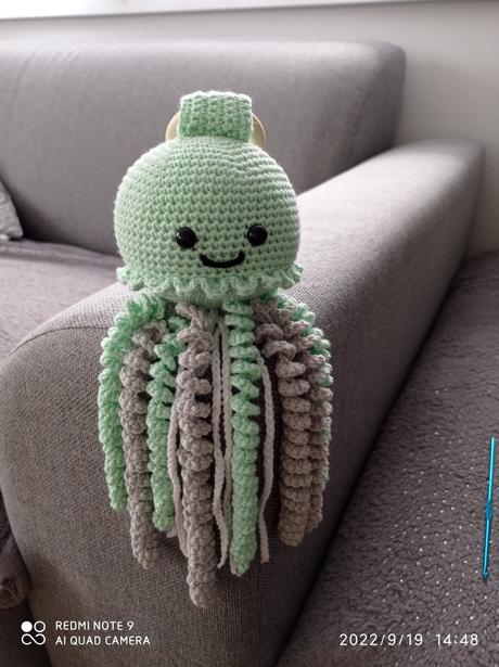 Háčkovaná medúza, 