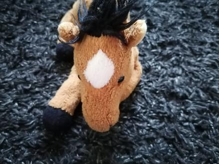 .plyšák koník, 