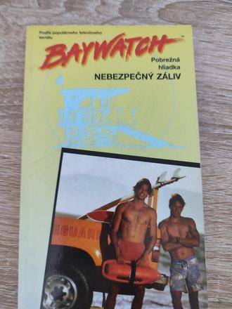 Pobrežná hliadka - nebezpečný záliv -  nigel robin, 