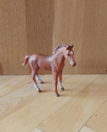 Collecta thoroughbred žriebä,