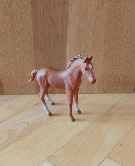 Collecta thoroughbred žriebä,