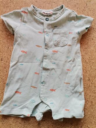 Pyzamko coccodrillo, coccodrillo,62