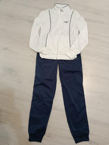 Puma súprava, puma,36