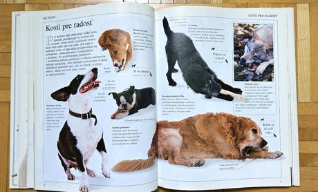 Kniha 'spoznaj svojho psa', bruce fogle, 