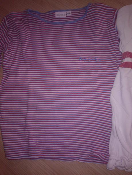 Tricka, palomino,104