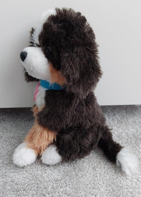 Štekajúci a chrápajúci psík, 