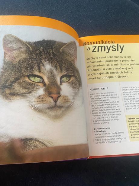 Život s mačkou starostlivosť, kŕmenie a zábava  de, 