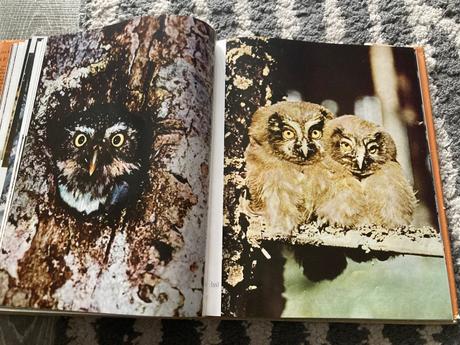 Spev prírody prvé vydanie 1971,