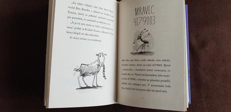 Kniha - striga na vysavaci, 