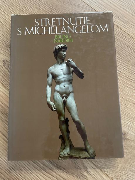 Stretnutie s michelangelom, 