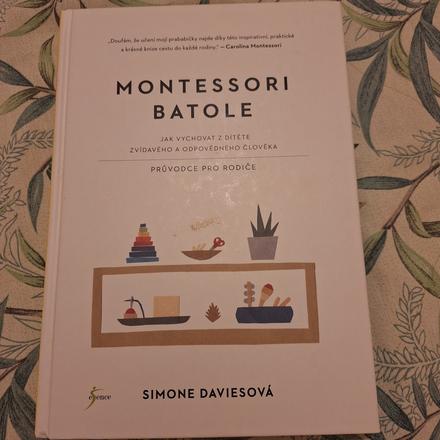 Kniha montessori batola, s. daviesova,