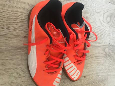 Halovky puma, puma,34