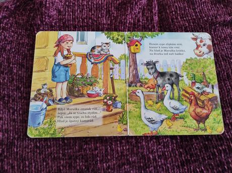 Na dvorku krásne ilustrovaná kniha,