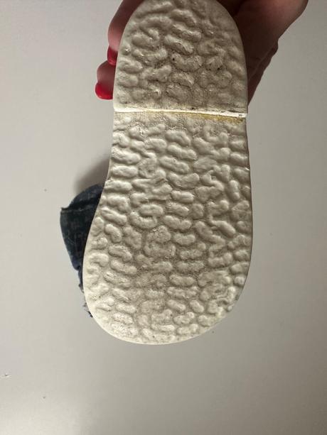 Rak papučky 19, rak,19