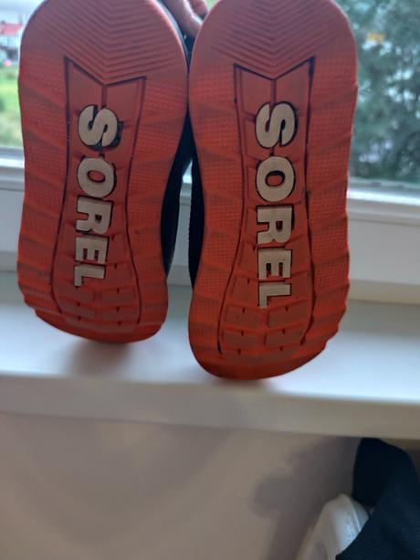 Snehulky sorel, sorel,33