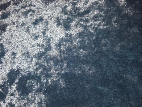 Zamatove saty forever 21, s