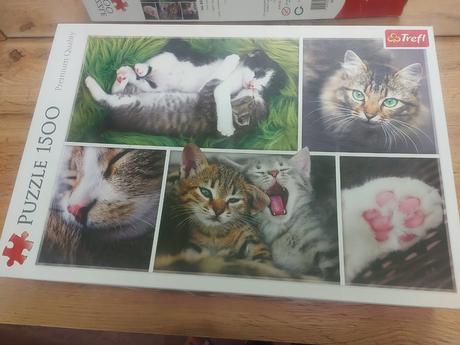 Puzzle mačičky, 