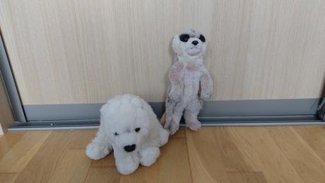 Plysove hracky surikata, ladovy medved, 