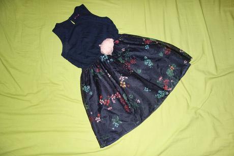 Letne satocky nutmeg, nutmeg,116