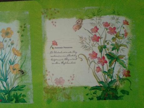 Obrázok rastlinková dvojka, 