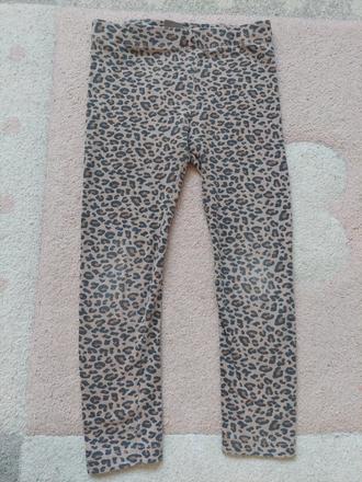 Leo leginy veľ.104, pepco,104