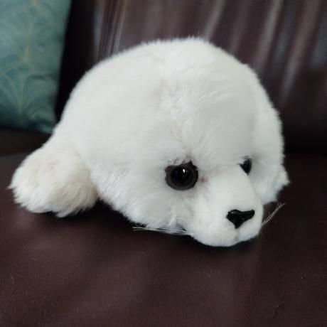 Zvieratá zo severného aj južného pólu,