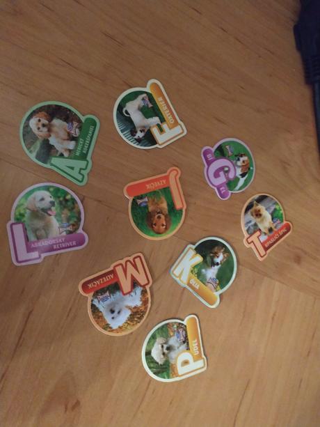Mix magnetiek, 