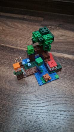 Lego minecraft 21240, 