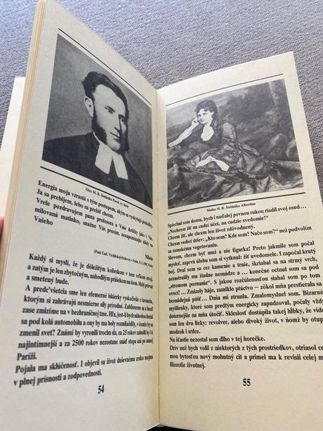 Pamätnica prinavracanie tvarí milan rastislav štef, 