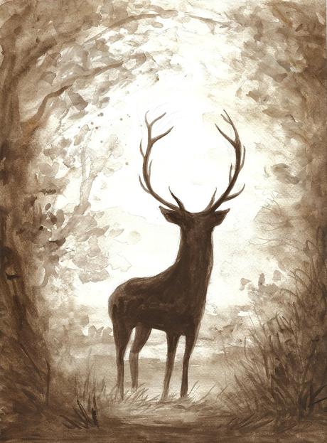 Jeleň, ilustrácia, 