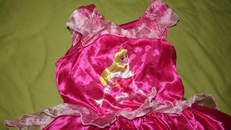 Saty pre sipkovu ruzenku od disney,