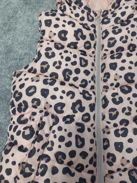 Hrubsia vesta dopodopo, 122, dopodopo,122