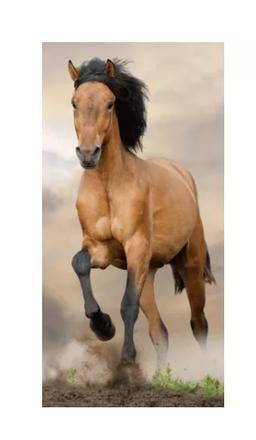 Detská osuška 70x140 kôň hnedý, 