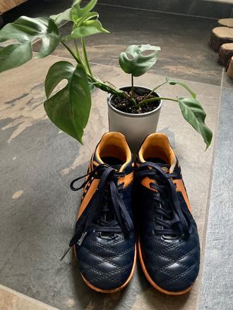 Umbro kopačky halovky, 33