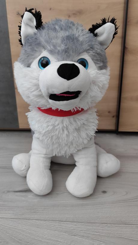 Plyšový husky 45cm,
