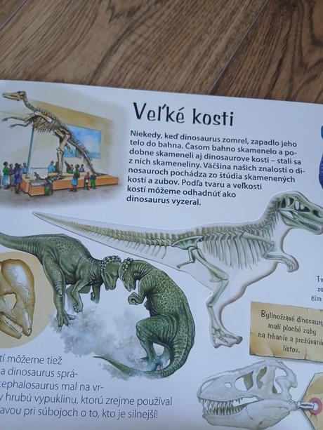 Donisaurus, 