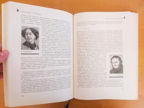 Dejiny svetovej literatury (1963), 