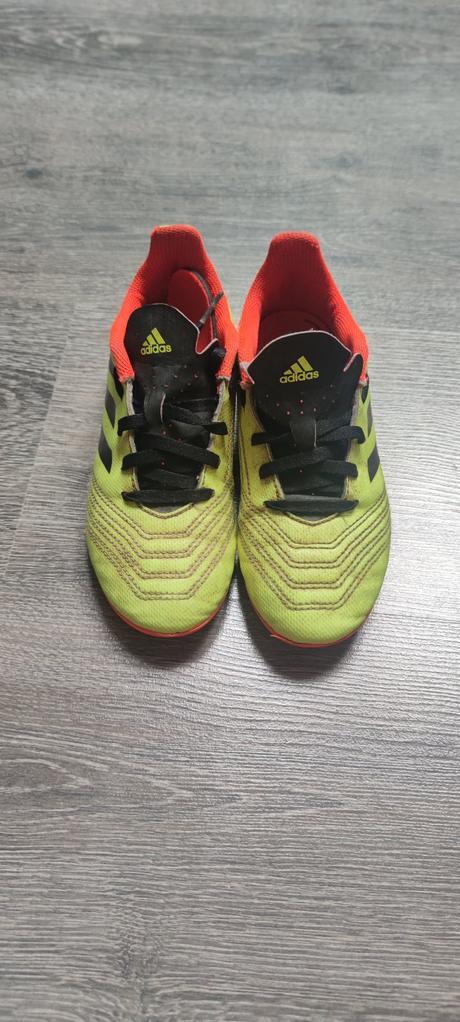 Kopačky predator adidas, adidas,31