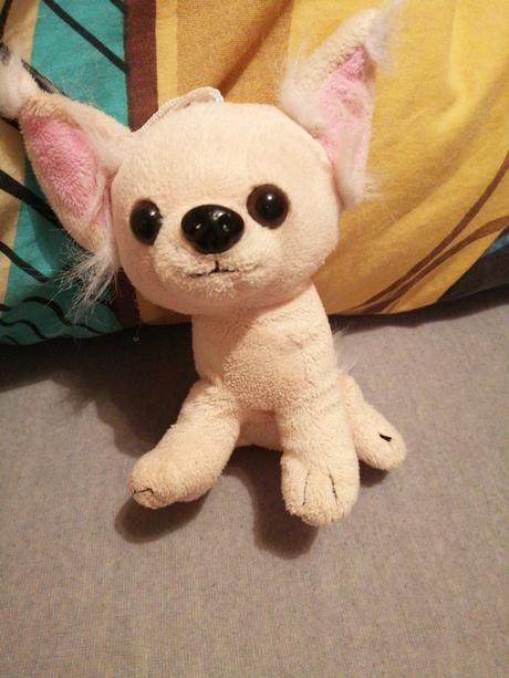 Mam na predaj plysiaka psíka, 