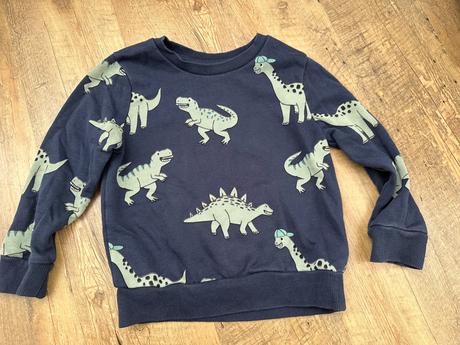 Mikina s dinosaurami, c&a,104