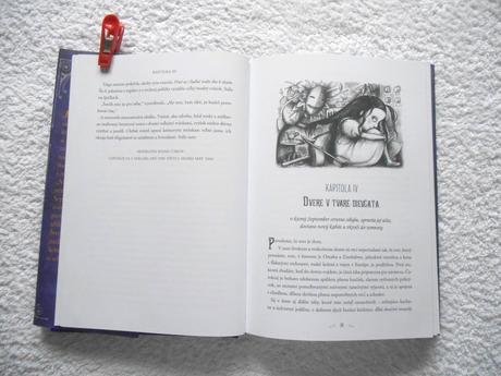 Kniha dievča ktoré spadlo pod čarokraj, 