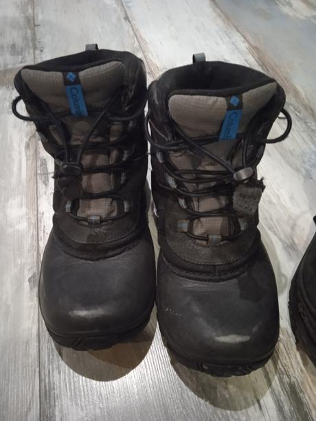 Snehule columbia, columbia