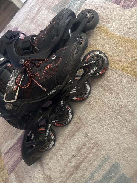 Koloeskove korcule oxelo, 32