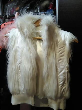 Chlpatá vesta, chilirose,l