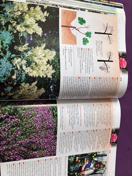 Rok v našej záhrade, 