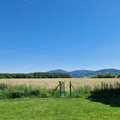 branka do sveta