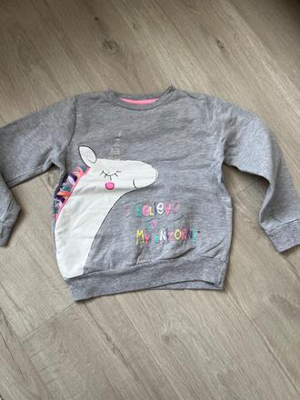 Teplakova mikina, pepco,122